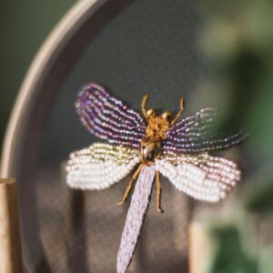 Risco #26: Bordado em Tule: Libélula