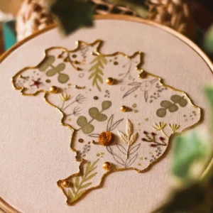 Mapa do Brasil